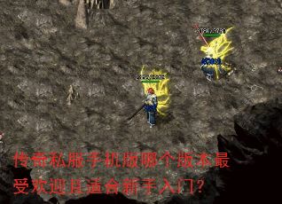 传奇私服手机版哪个版本最受欢迎且适合新手入门? 传奇私服手机版哪个版本最受欢迎且适合新手入门?