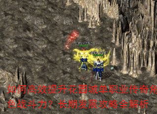 如何高效提升花园城单职业传奇角色战斗力?长期发展攻略全解析 如何高效提升花园城单职业传奇角色战斗力?长期发展攻略全解析
