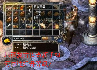 地藏复古传奇新手如何快速提升等级? 地藏复古传奇新手如何快速提升等级?