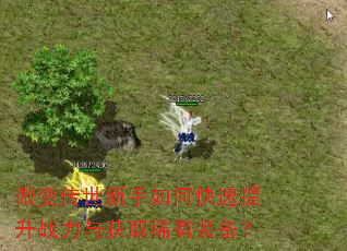 微变传世新手如何快速提升战力与获取稀有装备? 微变传世新手如何快速提升战力与获取稀有装备?