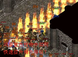 鸿蒙复古传奇中如何快速提升角色等级? 鸿蒙复古传奇中如何快速提升角色等级?