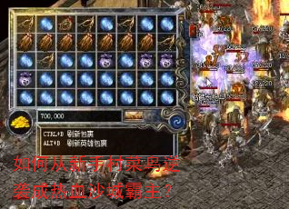 如何从新手村菜鸟逆袭成热血沙城霸主? 如何从新手村菜鸟逆袭成热血沙城霸主?