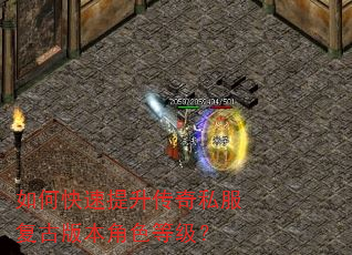 如何快速提升传奇私服复古版本角色等级? 如何快速提升传奇私服复古版本角色等级?