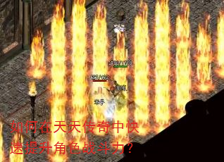 如何在天天传奇中快速提升角色战斗力? 如何在天天传奇中快速提升角色战斗力?
