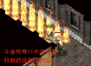 斗金传奇11中法师最特别的技能是什么? 斗金传奇11中法师最特别的技能是什么?