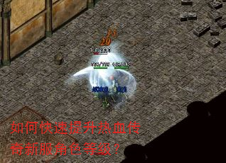 如何快速提升热血传奇新服角色等级? 如何快速提升热血传奇新服角色等级?