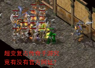 ���临�Ŵ������ξ�����û�йٷ���ַ��