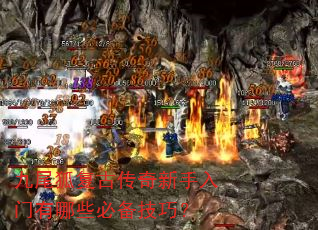 ��β�����Ŵ���������������Щ�ر����ɣ�