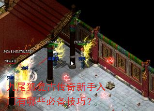 ��β�����Ŵ���������������Щ�ر����ɣ�