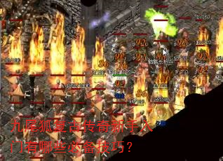 ��β�����Ŵ���������������Щ�ر����ɣ�