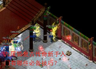 ��β�����Ŵ���������������Щ�ر����ɣ�