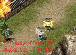 如何挑战未知暗殿?新手必备攻略与技巧解析 如何挑战未知暗殿?新手必备攻略与技巧解析