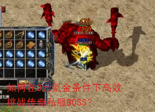 �����0Ԫ봽������¸�Ч��ս����˽��BOSS��