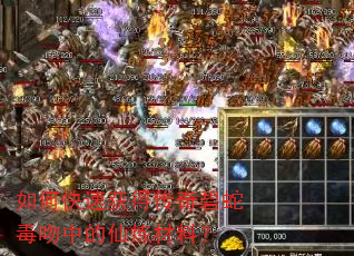 如何快速获得传奇碧蛇毒吻中的仙炼材料? 如何快速获得传奇碧蛇毒吻中的仙炼材料?