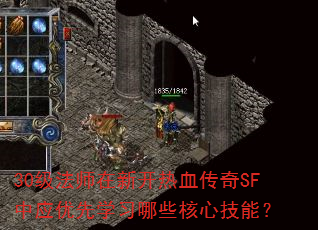 30����ʦ���¿���Ѫ����SF��Ӧ����ѧϰ��Щ���ļ��ܣ�