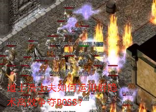 道士浩士夫如何运用群隐术高效争夺BOSS? 道士浩士夫如何运用群隐术高效争夺BOSS?