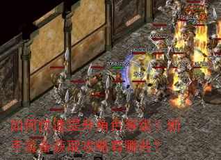 如何快速提升角色等级?新手装备获取攻略有哪些? 如何快速提升角色等级?新手装备获取攻略有哪些?