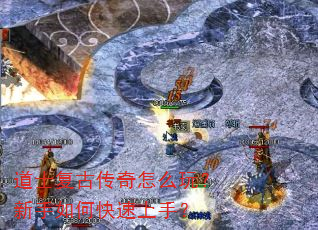 ��ʿ���Ŵ�����ô�棿������ο������֣�