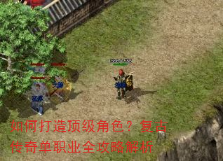 ��δ��춥����ɫ�����Ŵ��浥ְҵȫ���Խ���