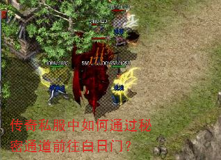 传奇私服中如何通过秘密通道前往白日门? 传奇私服中如何通过秘密通道前往白日门?