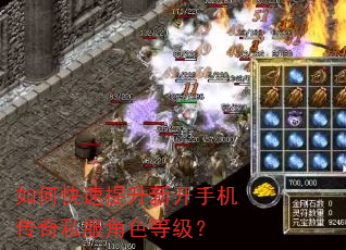 如何快速提升新开手机传奇私服角色等级? 如何快速提升新开手机传奇私服角色等级?