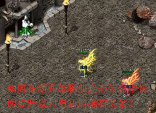 如何在新开单职业变态传奇中快速提升战力与获取稀有装备? 如何在新开单职业变态传奇中快速提升战力与获取稀有装备?