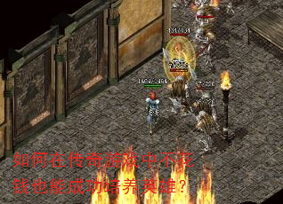����ڴ�����Ϸ�в���ǮҲ�ܳɹ�����Ӣ�ۣ�