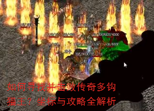 如何寻找并击败传奇多钩猫王?坐标与攻略全解析 如何寻找并击败传奇多钩猫王?坐标与攻略全解析