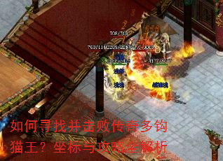 如何寻找并击败传奇多钩猫王?坐标与攻略全解析 如何寻找并击败传奇多钩猫王?坐标与攻略全解析