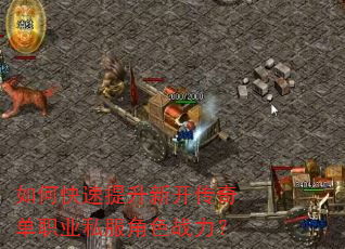 ��ο��������¿����浥ְҵ˽����ɫս����