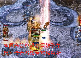 ��θ�Ч��ս��ѩս�輯����������Ϸȫ���Խ���