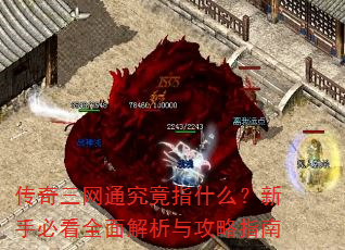 传奇三网通究竟指什么?新手必看全面解析与攻略指南 传奇三网通究竟指什么?新手必看全面解析与攻略指南