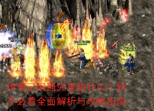 ��������ͨ����ָʲô�����ֱؿ�ȫ������빥��ָ��