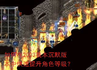 �����2003�ұ���Ĭ�汾�п���������ɫ�ȼ���