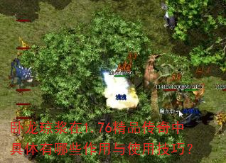 卧龙琼浆在1.76精品传奇中具体有哪些作用与使用技巧? 卧龙琼浆在1.76精品传奇中具体有哪些作用与使用技巧?