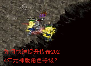 ��ο�����������2024��Ԫ����ɫ�ȼ���